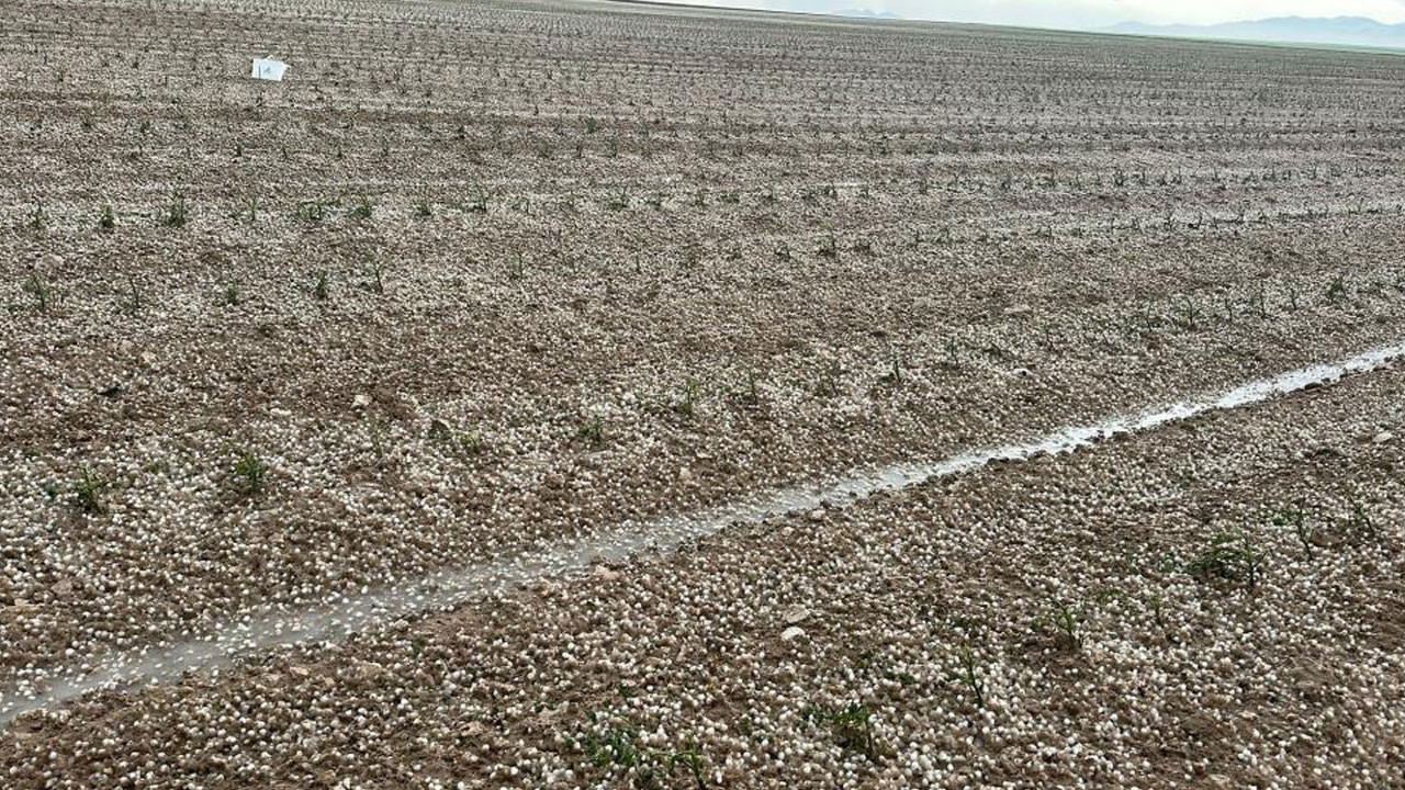 Aksaray’da sağanak ve dolu tarım arazilerini vurdu