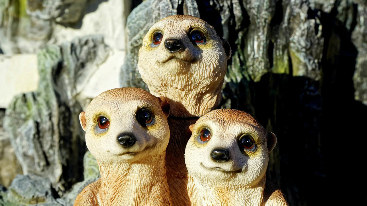 Hayvanların bilincini daha iyi anlamak için yeni bir yaklaşım