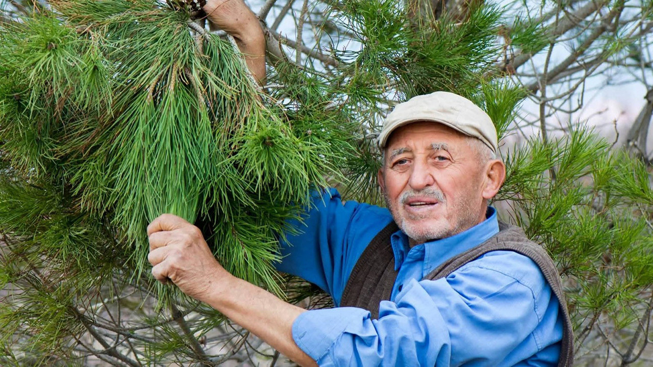 Ölümün seçkinliği