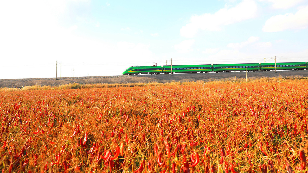 Kapsantinin yüzde 12’sini üreten bölge: Karaşar
