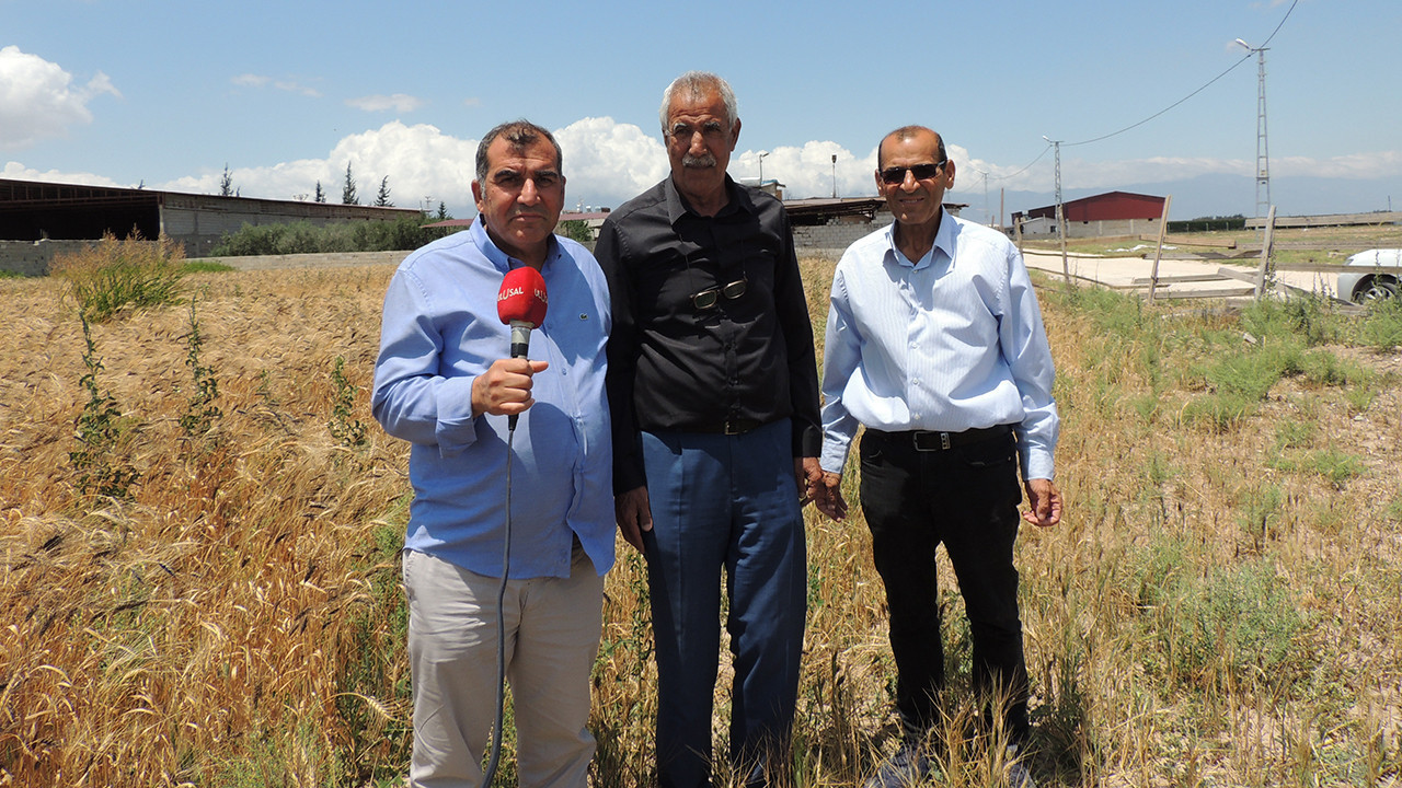 Hataylı üreticiler maliyetlerden dertli