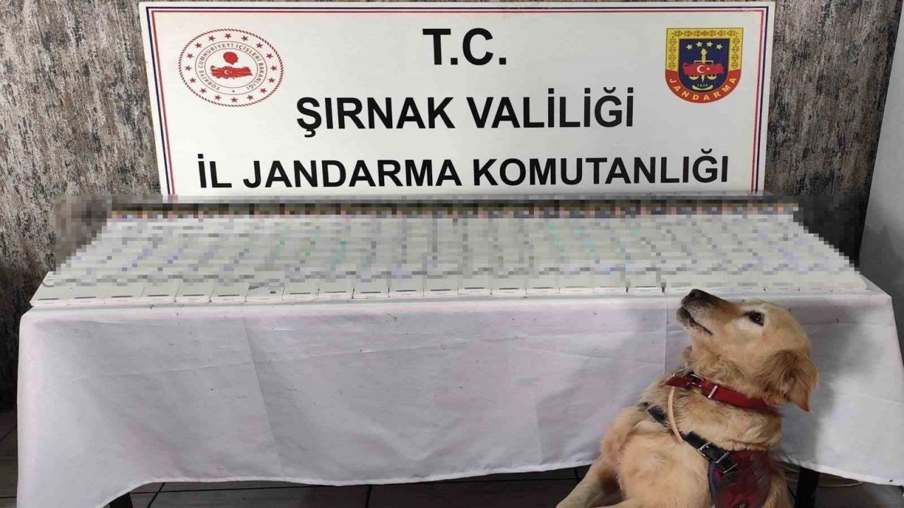 Şırnak'ta ele geçirildi! Tam 28 bin 500 TL değerinde