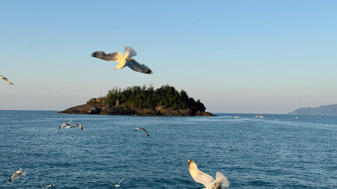 Doğu Karadeniz’in yaşanılabilir tek adası! Giresun'da yer alıyor