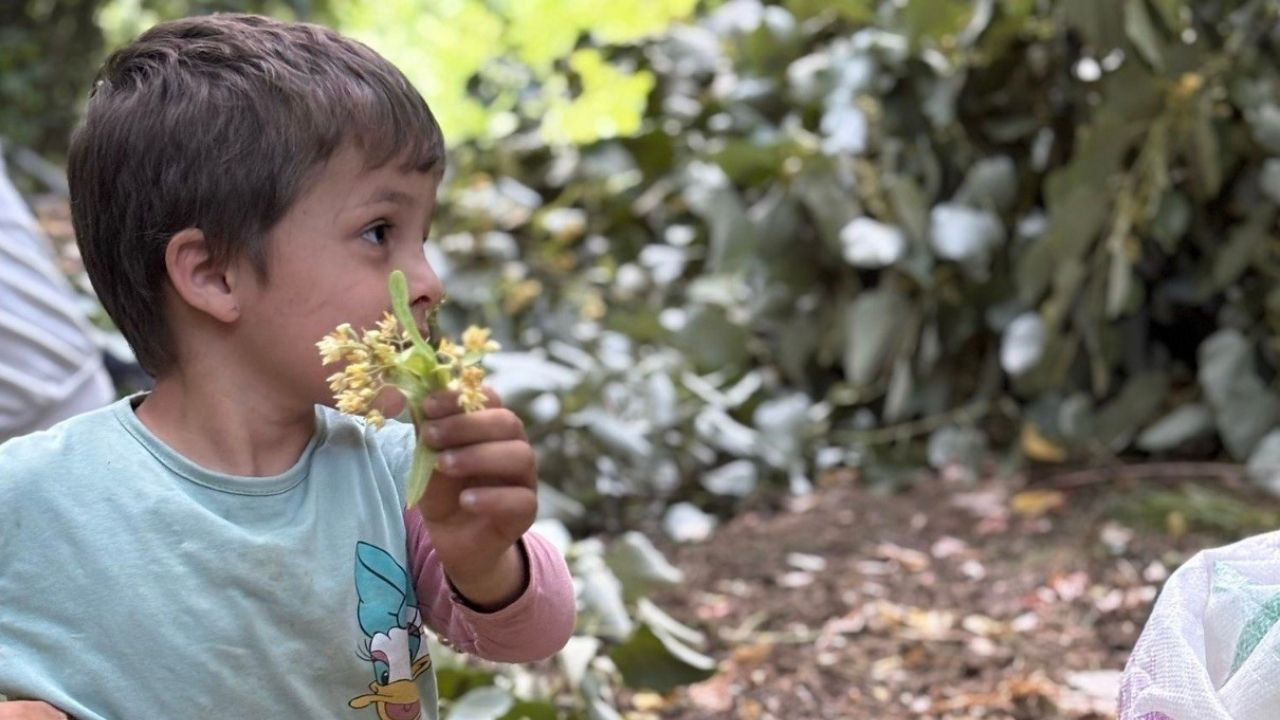 Balıkesir’de üretiliyor! Kilosu 1500 TL’den satılıyor