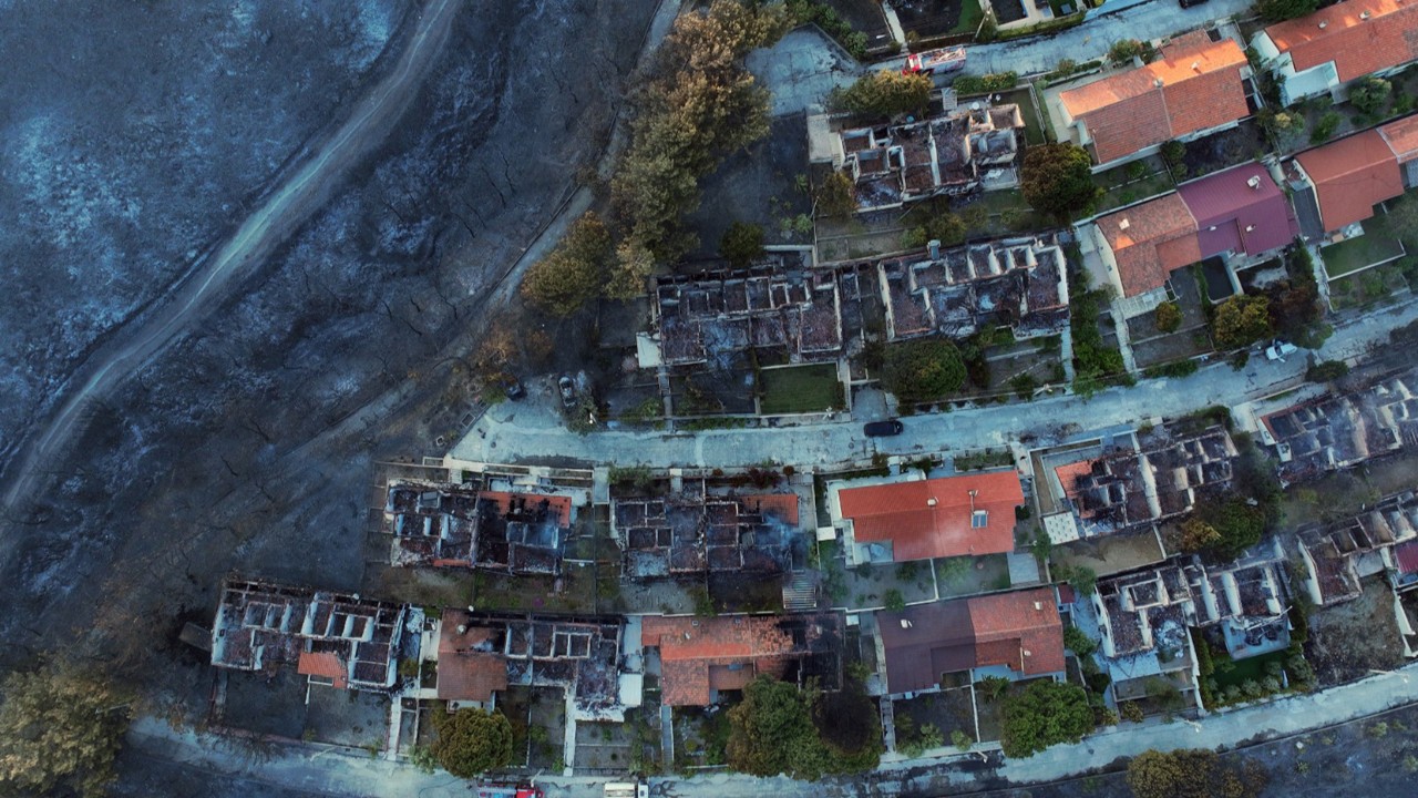 Toplumda orman bilinci sıfırdan kurulmalı