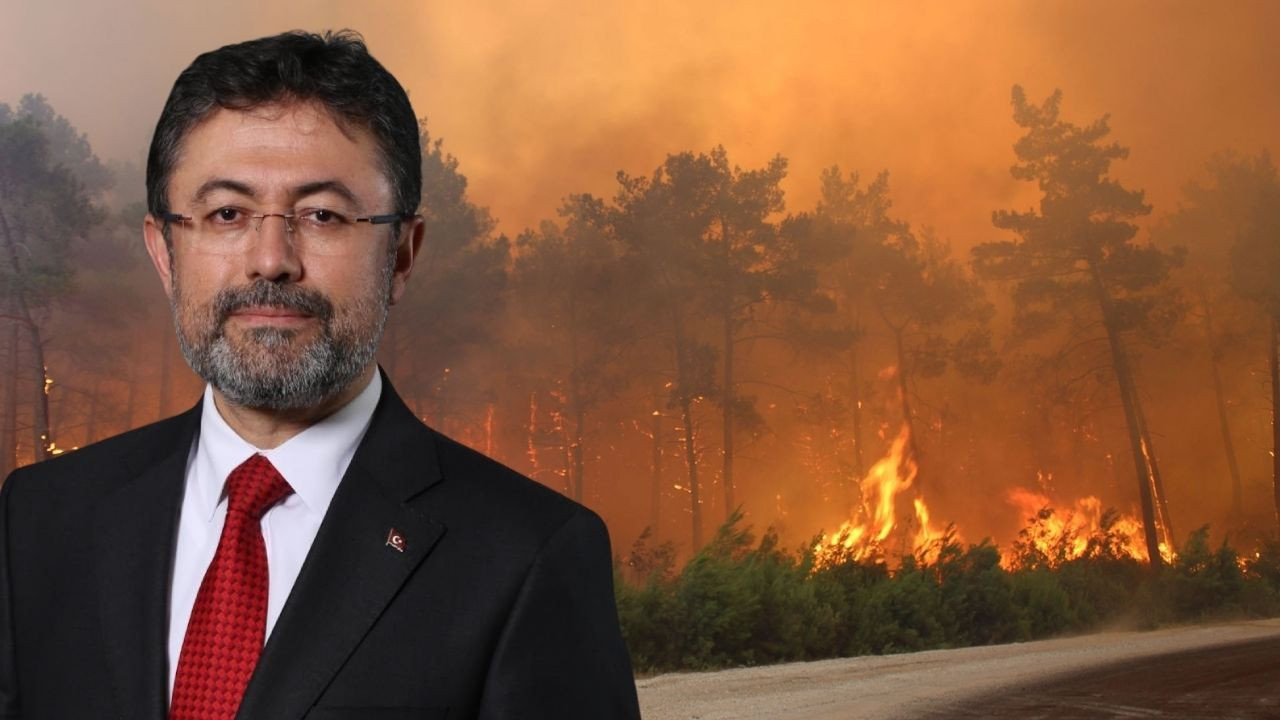 Tüm Türkiye bu haberi bekliyordu! Sevindiren açıklama geldi