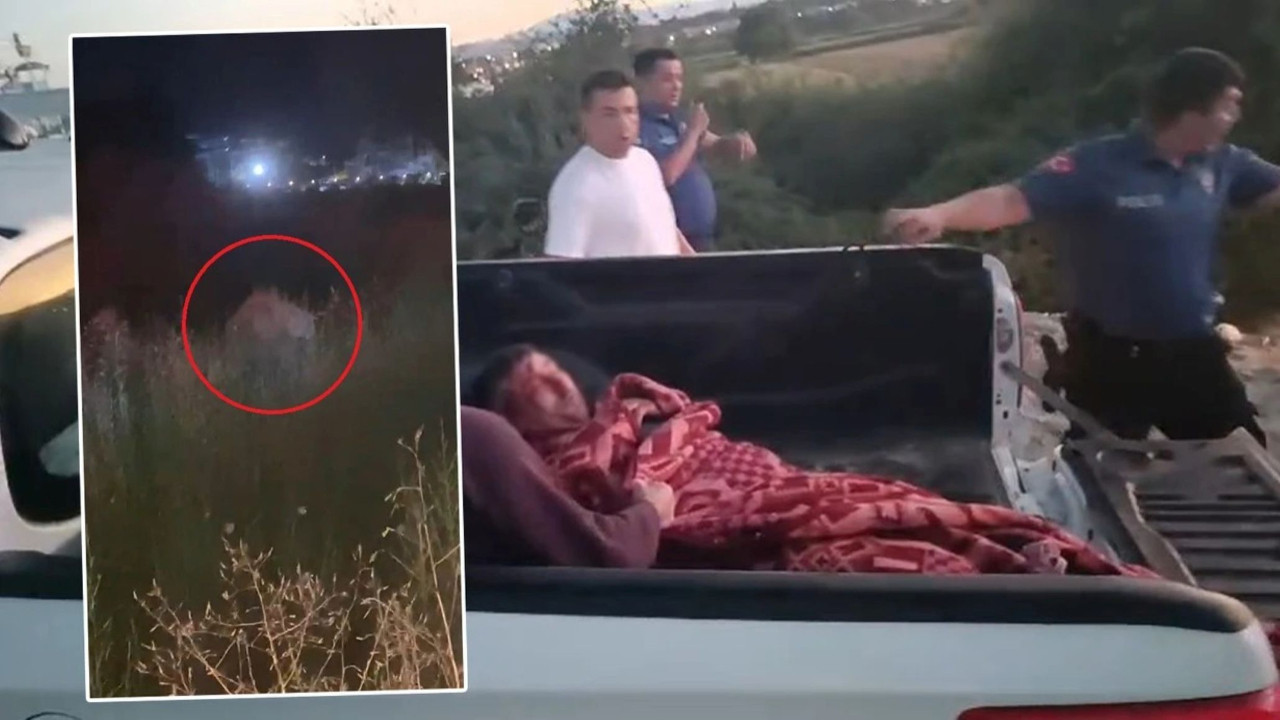 Antalyalılar dikkat: Aslan kafesinden kaçtı, vatandaş saldırıya uğradı!