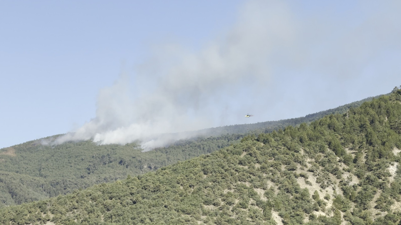 Çankırı'nın Ilgaz ilçesinde orman yangını
