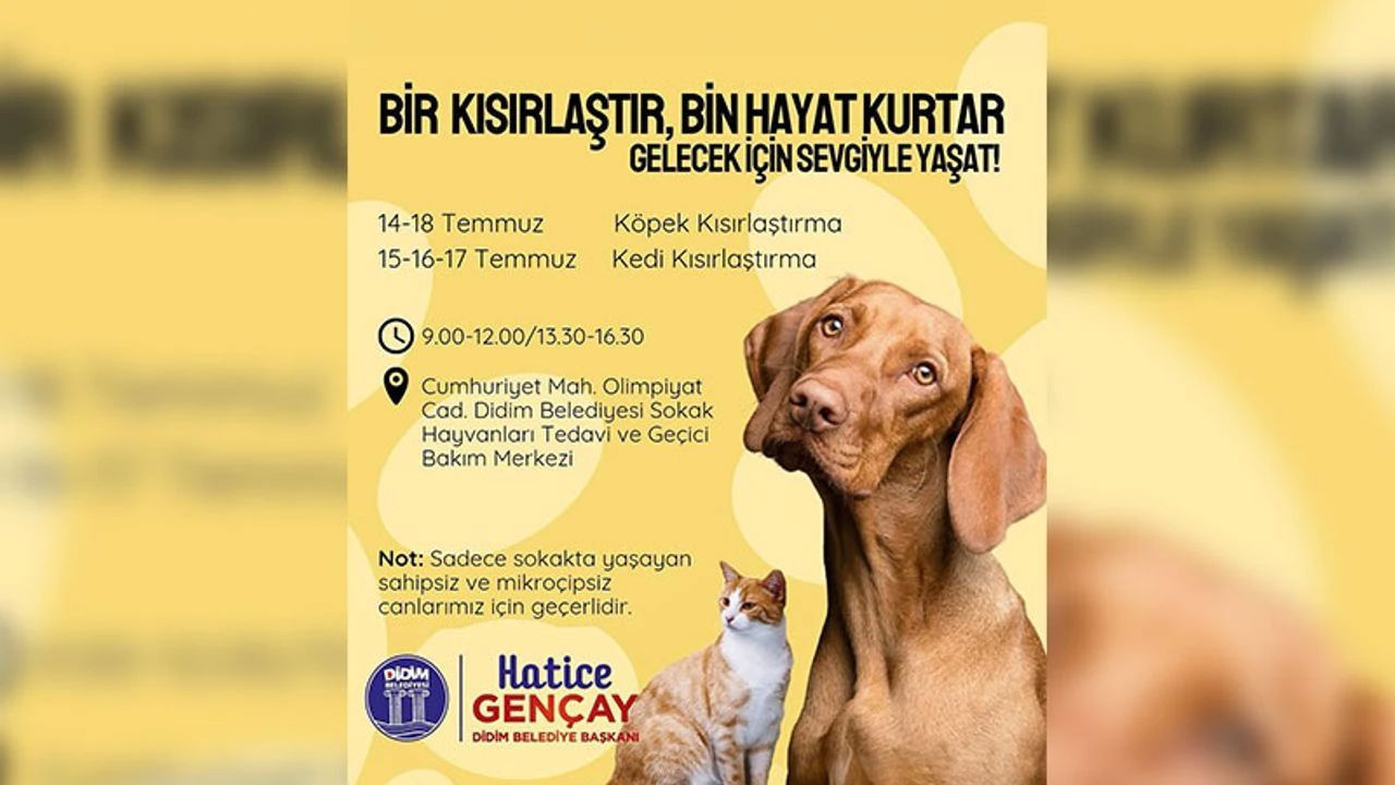 Aydın'ın Didim ilçesinde hayvanlar için ücretsiz hizmet