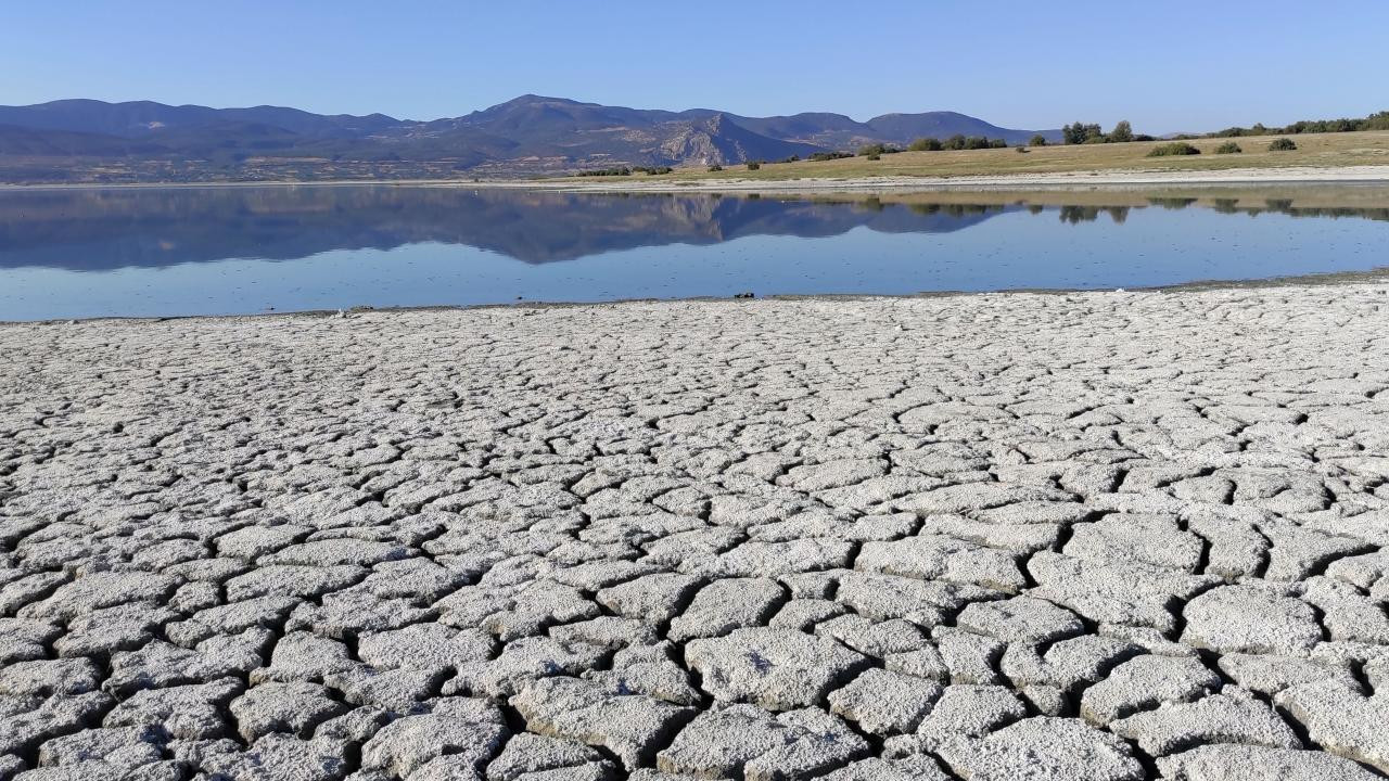 ‘26 bin dekar alan tarıma açılsın’