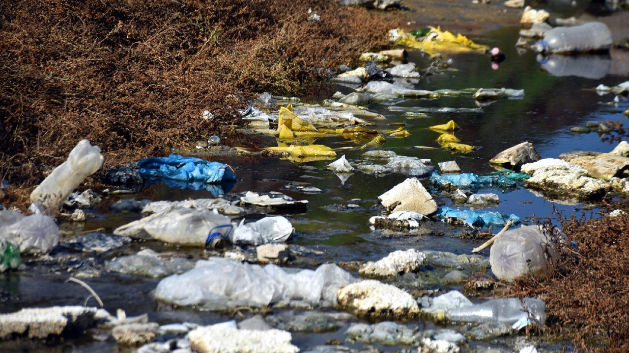 Meraları elinden alındı, hayvanları zehirlendi