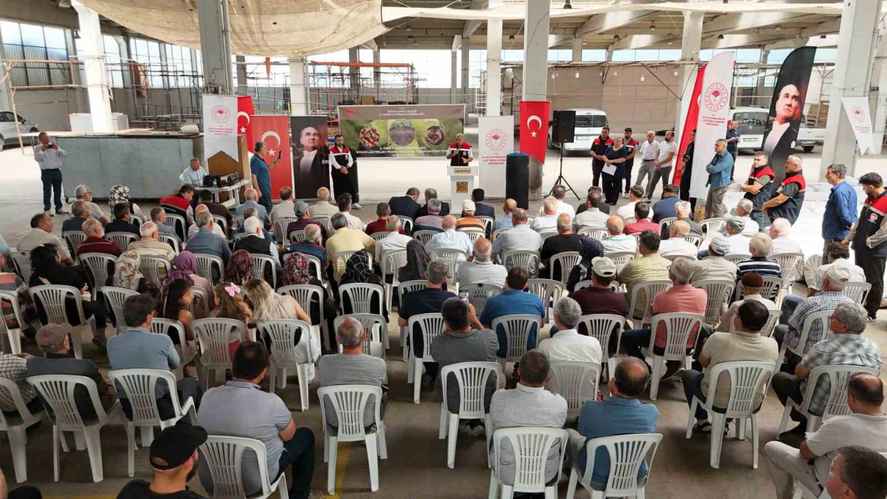 Fındık üreticilerini sevindiren haber geldi