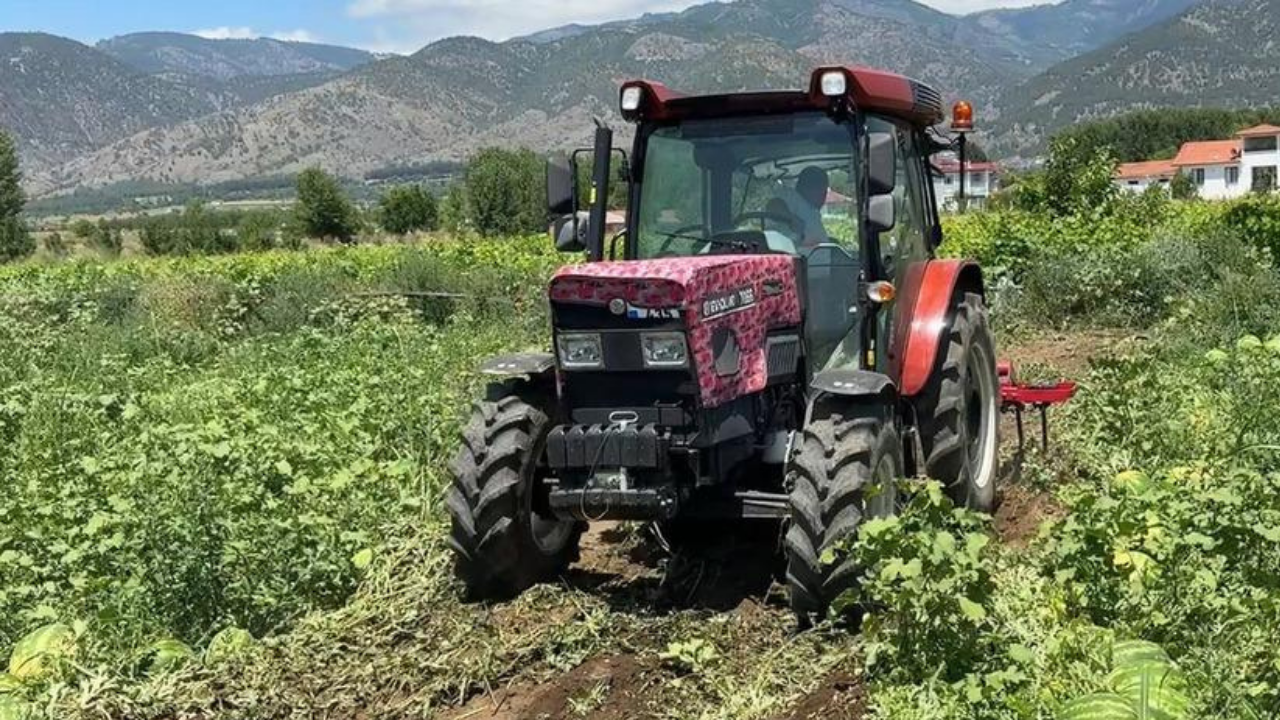 İstanbul'da markette yüzlerce lira! Tokat'ta dönümü 10 bin TL