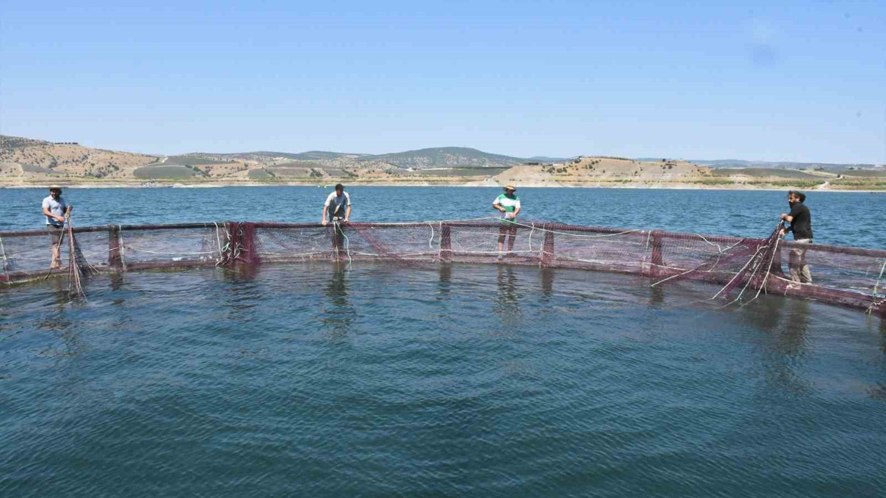 Yozgat'ta üretilip Avrupa'ya gönderiliyor