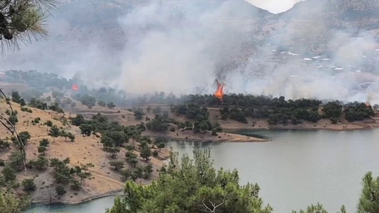 Adıyaman'da yangın alarmı: Ekipler ve köylüler alevlere karşı seferber oldu
