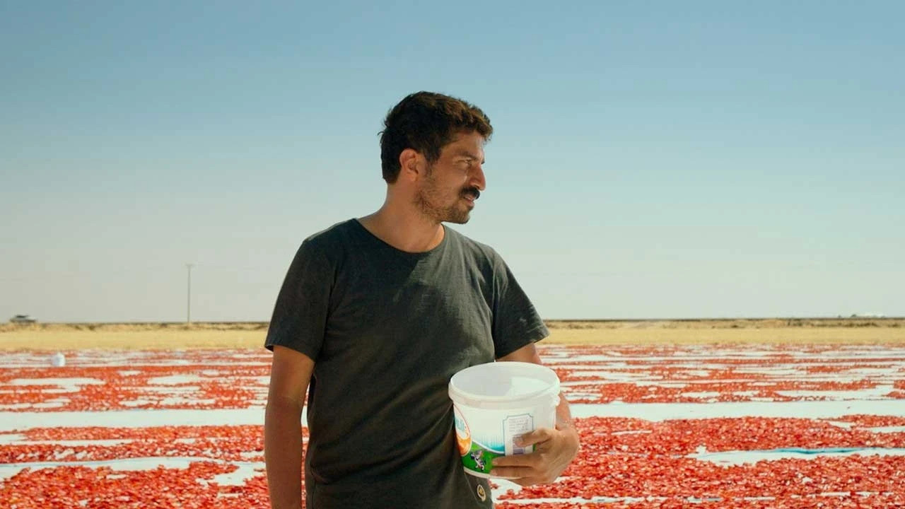 Altın Koza’yı kazanmıştı! ‘Hemme’nin Öldüğü Günlerden Biri’ Türkiye’nin Oscar adayı