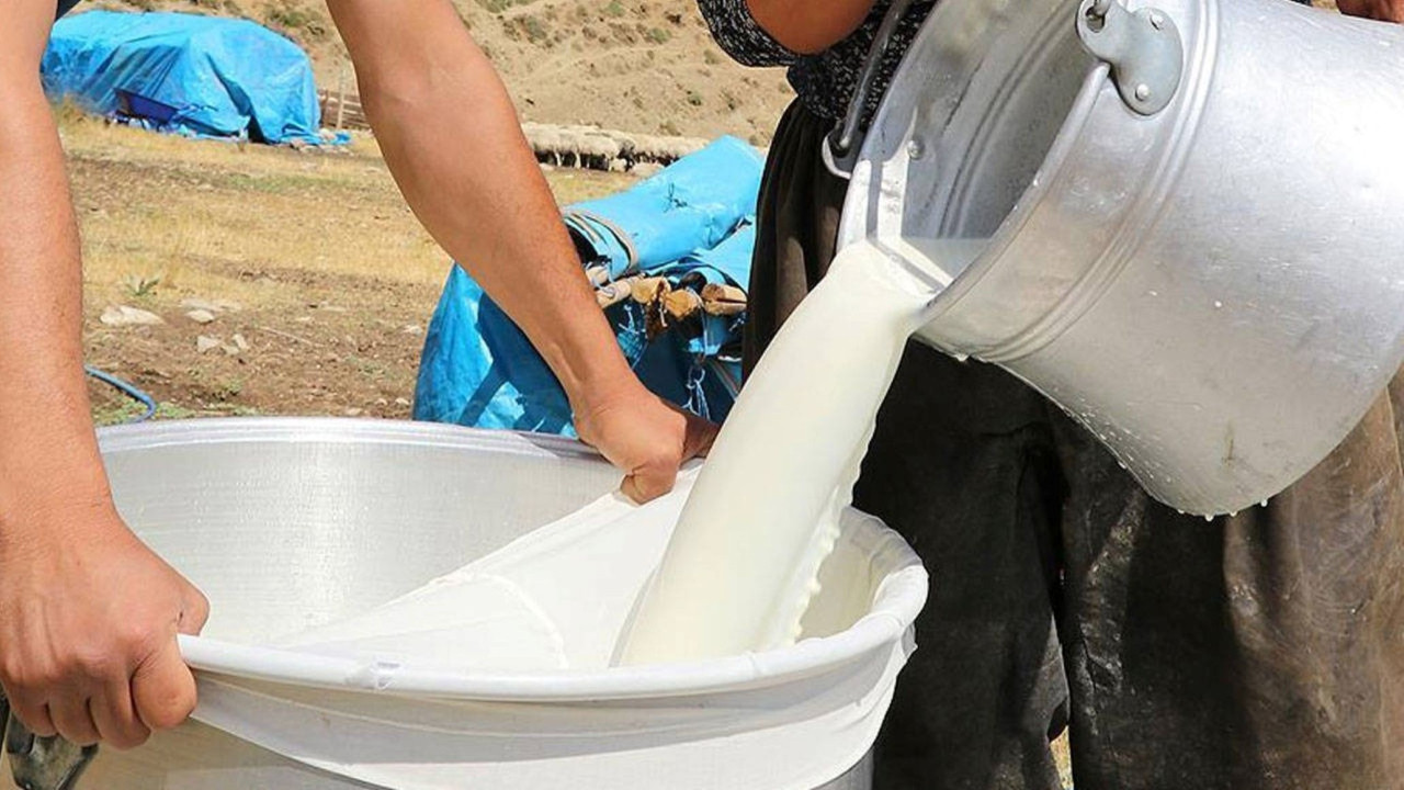 Ulusal Süt Konseyi duyurdu: Çiğ süte zam geldi