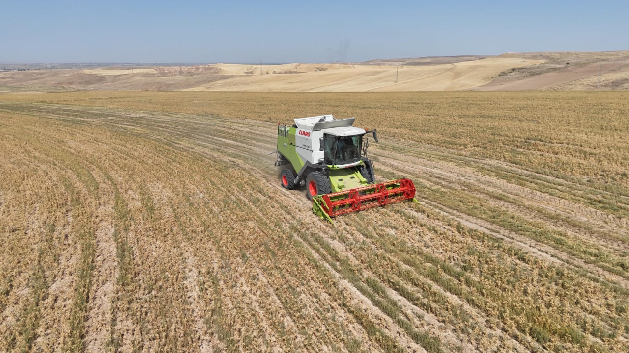 Aksaray'da ücretsiz dağıtılacak