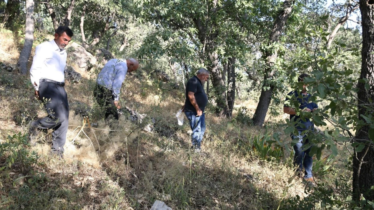 Siirt’te koruma altına alındı: Bu bitkiyi koparmanın cezası 557 bin TL!