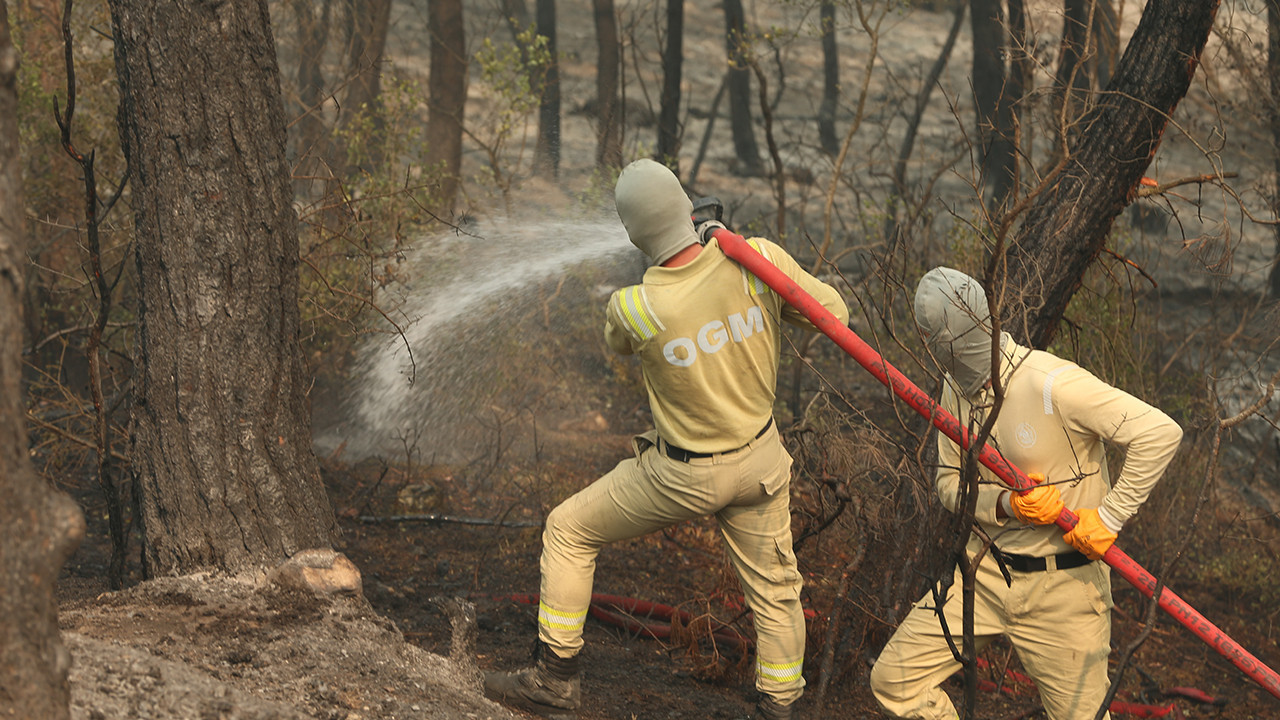 Eskişehir ve Sakarya’da orman yangını