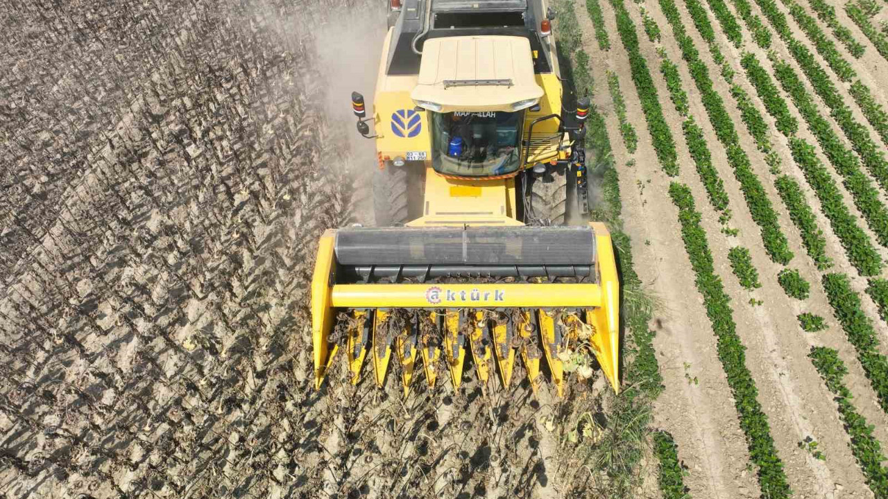 Osmaniye'de üretiliyor! 23 liraya satılıyor