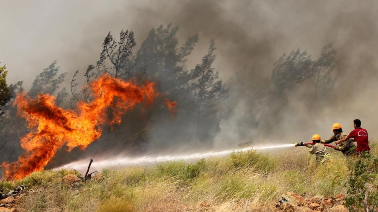 Temmuz ayında 61 orman yangını: 4 tutuklama, 23 gözaltı