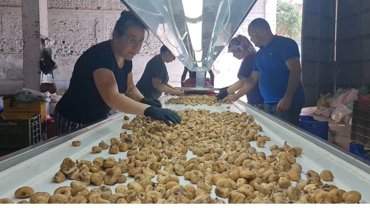 33 günde 90 bin TL kazandırıyor! İzmir'de işçilere rekor maaş