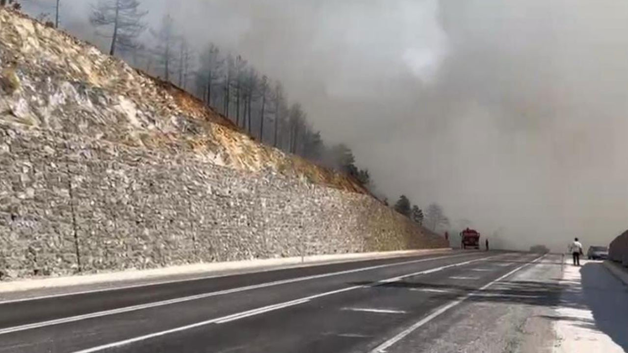 Bursa'da orman yangını çıktı! Ekipler müdahale ediyor