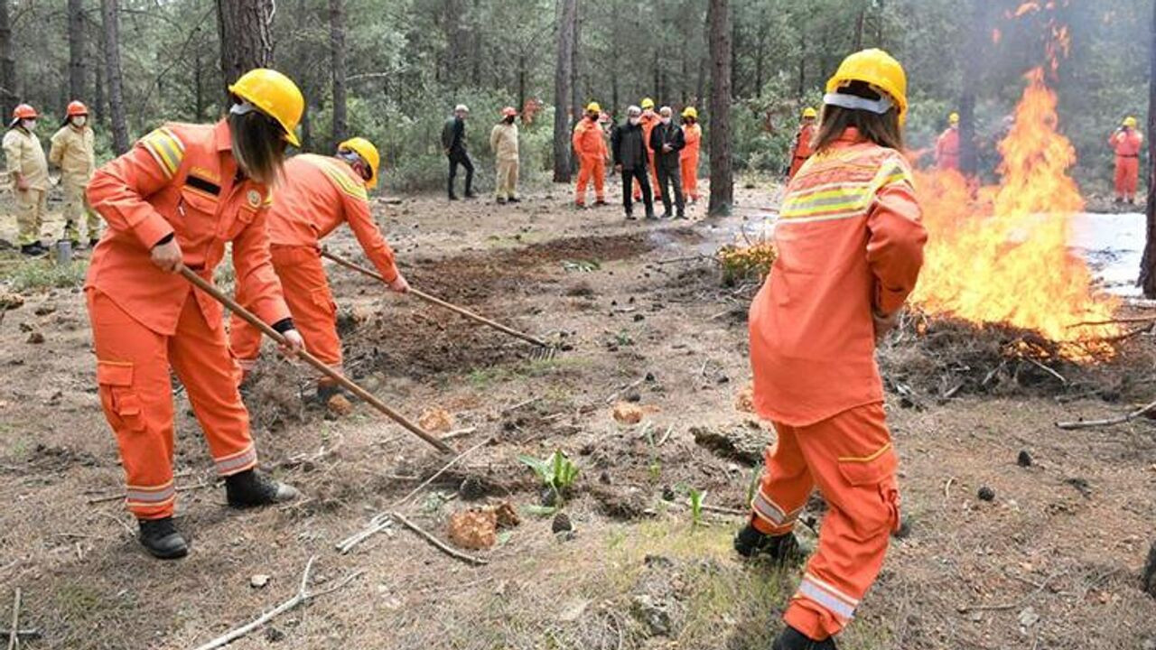 Tarım ve Orman Bakanlığı duyurdu! Binlerce personel alınacak işte şartlar