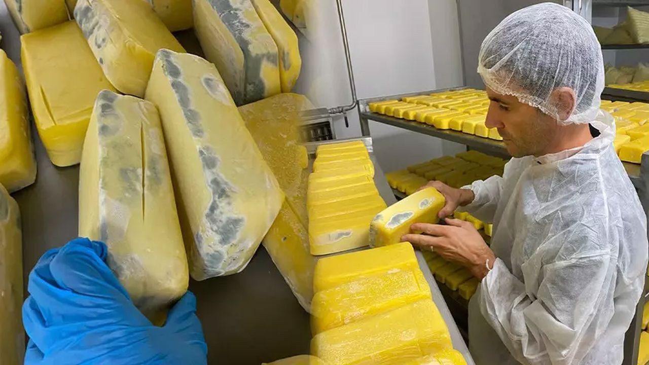 Sakarya'da ele geçirildi! 1.5 ton küflenmiş ürün