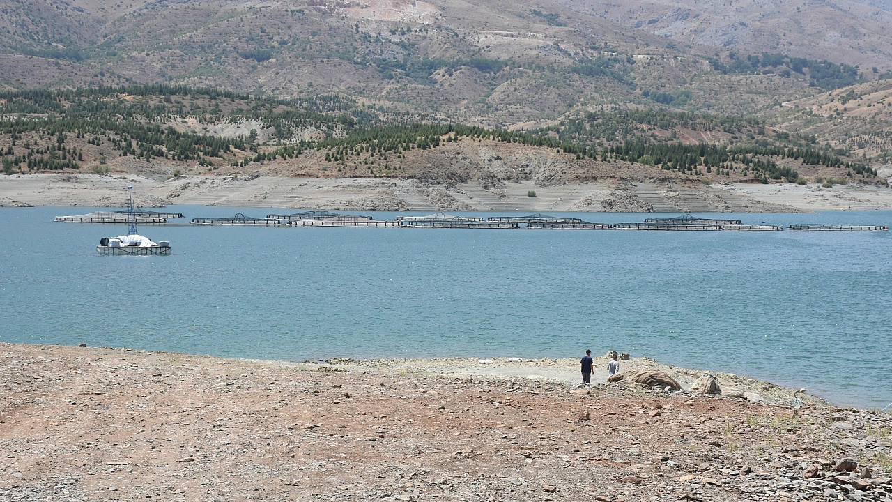 Malatya'da devlet desteğiyle kuruldu! Doğanşehir, Darende, Arguvan'da üretiliyor