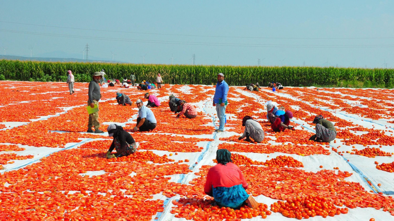Manisa'da üretiliyor! 34 ülkeye gönderiliyor
