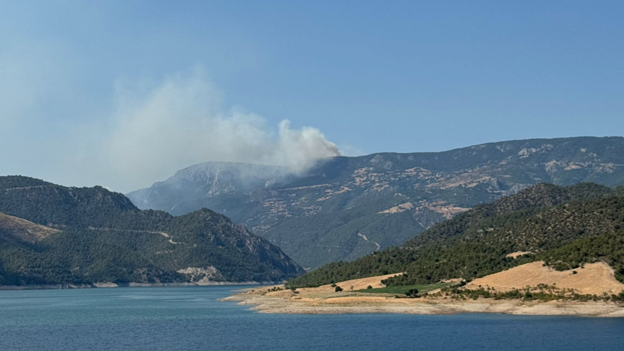 Sinop'ta orman yangını! O köy boşaltıldı...