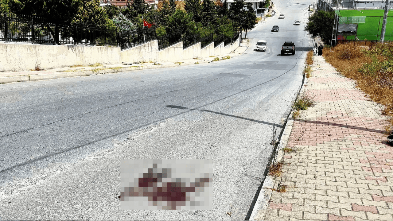 Mezarlık önünde kardeş kavgası cinayetle bitti