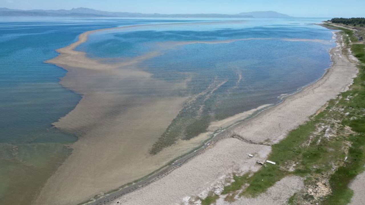 Van Gölü'nde korkutan görüntü