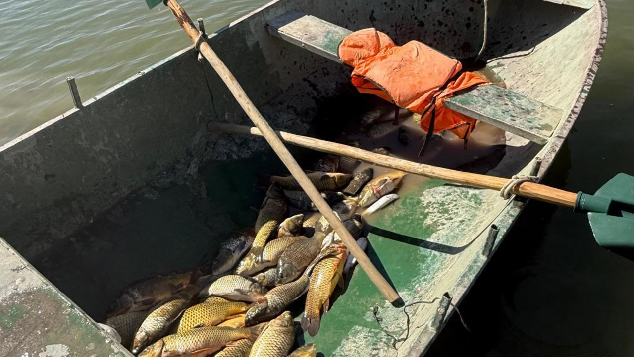 Van'da kaçak balık avına ceza kesildi!