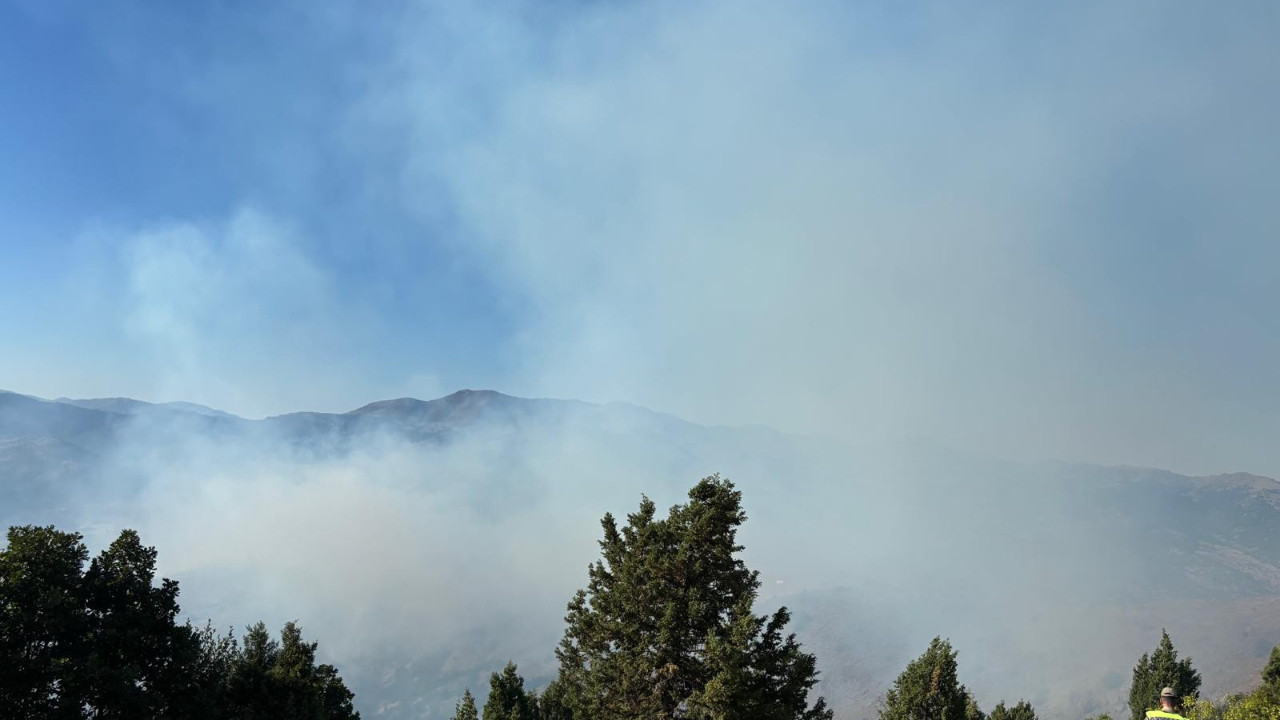 Gümüşhane'de orman yangını devam ediyor