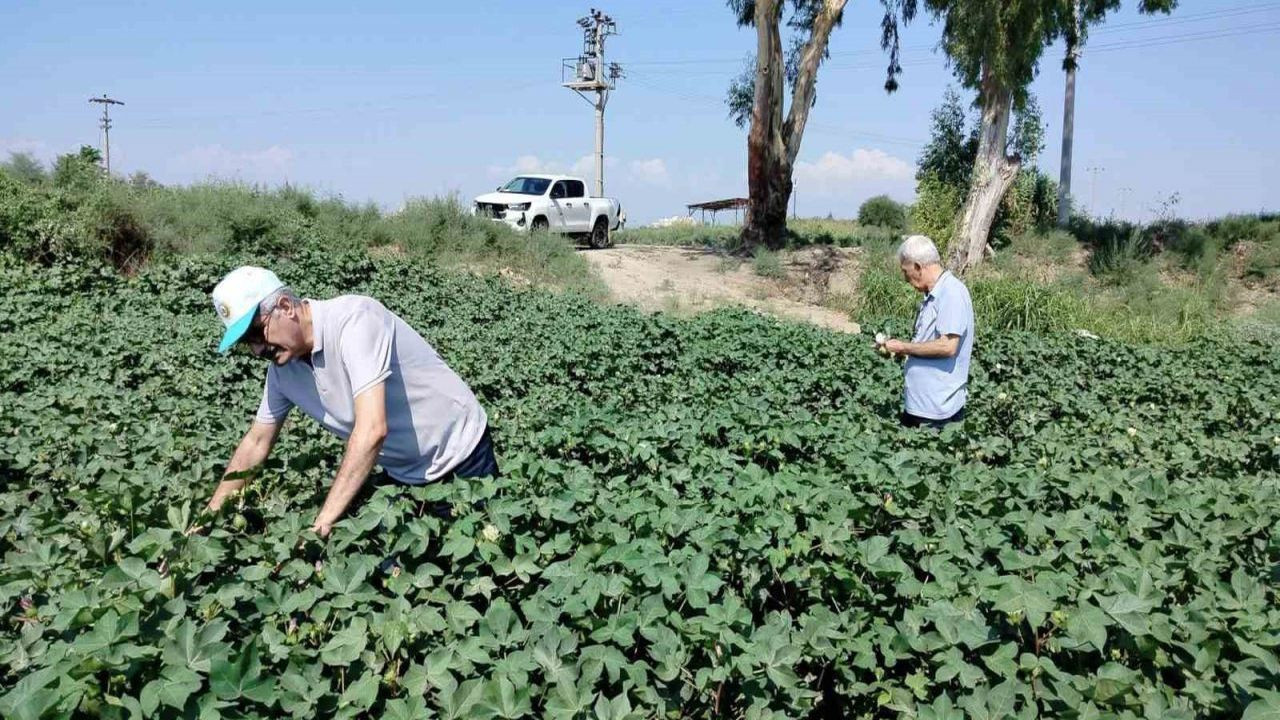 Aydın'da incir depocularına kritik uyarı!