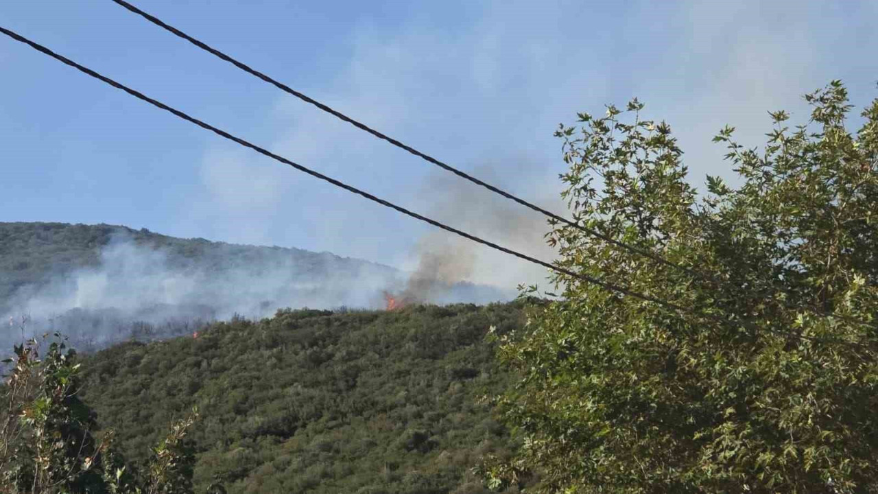 Bursa'dan sevindiren haber! Orman yangını kontrol altına alındı