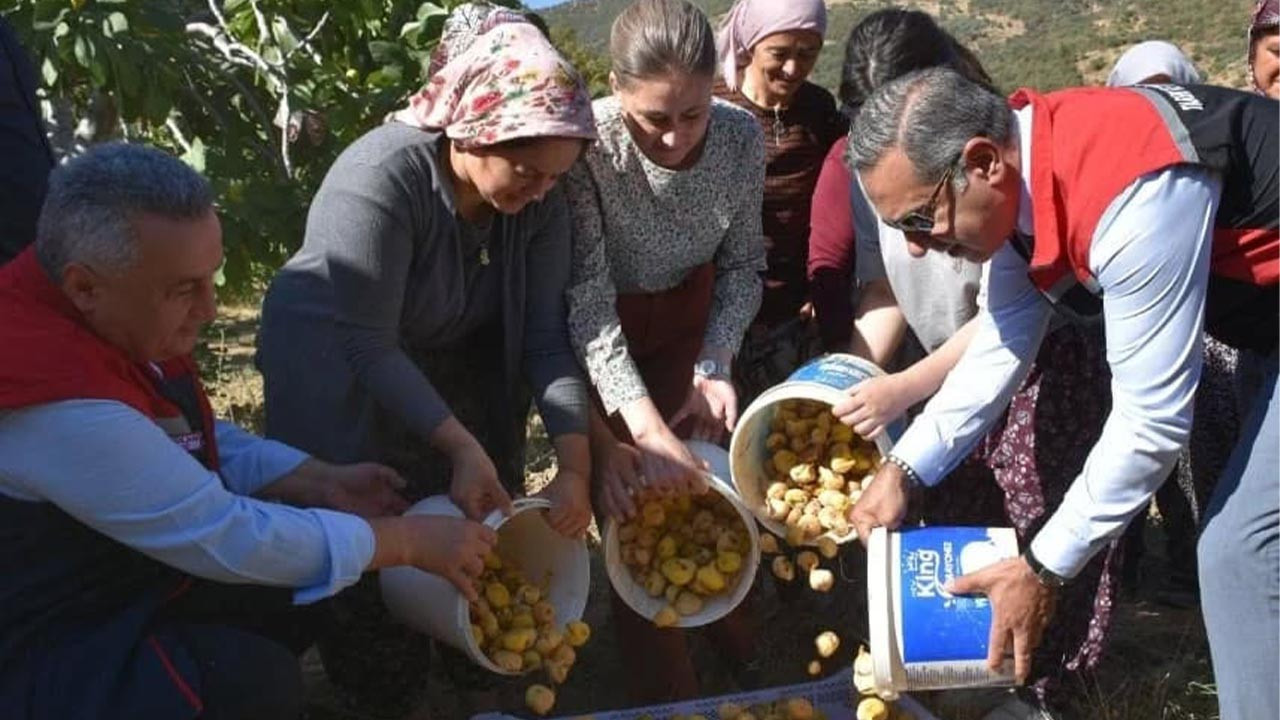 İncir üreticisine kurutma kereviti desteği