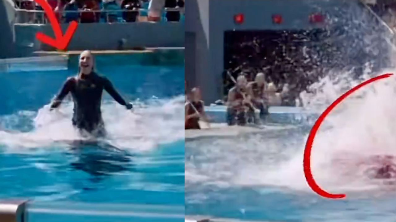 Jessica Radcliffe balina olayı gerçek mi? Katil balina (Orca) kadını yedi mi? İşte videonun perde arkası