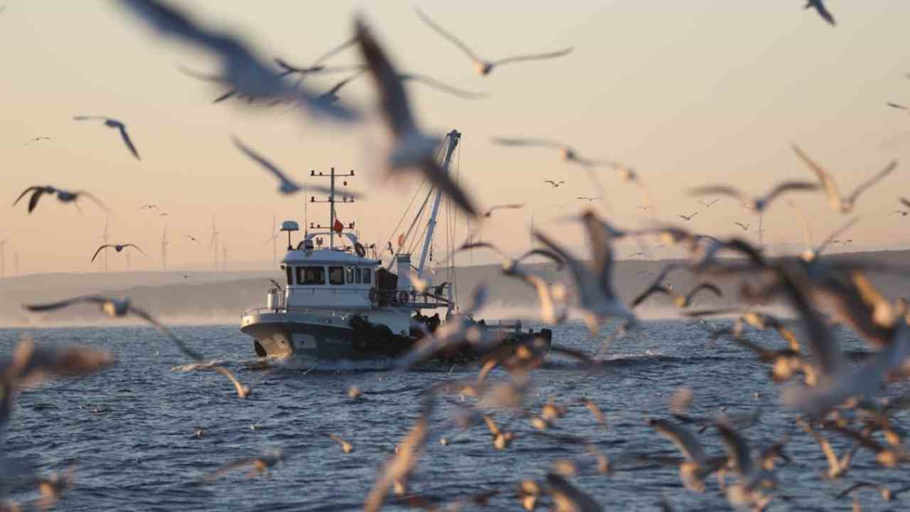 Balıkçılar bu gece 'vira bismillah' diyecek