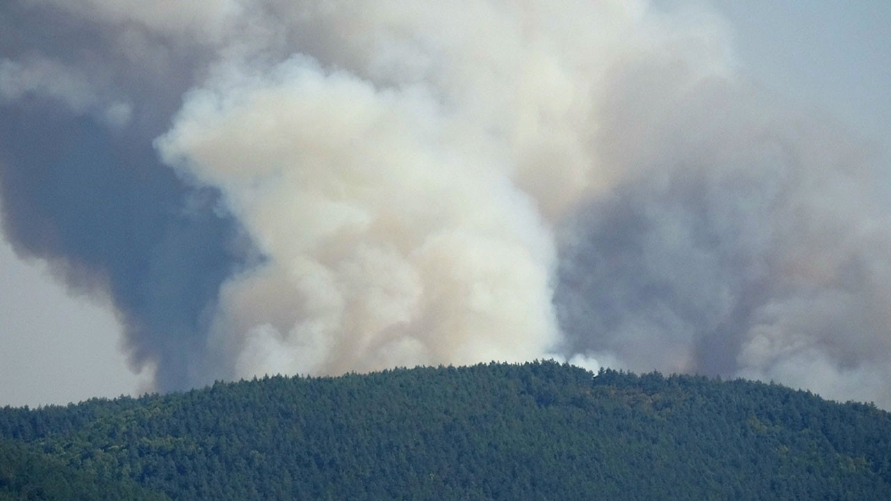 Karabük'te orman yangını çıktı!