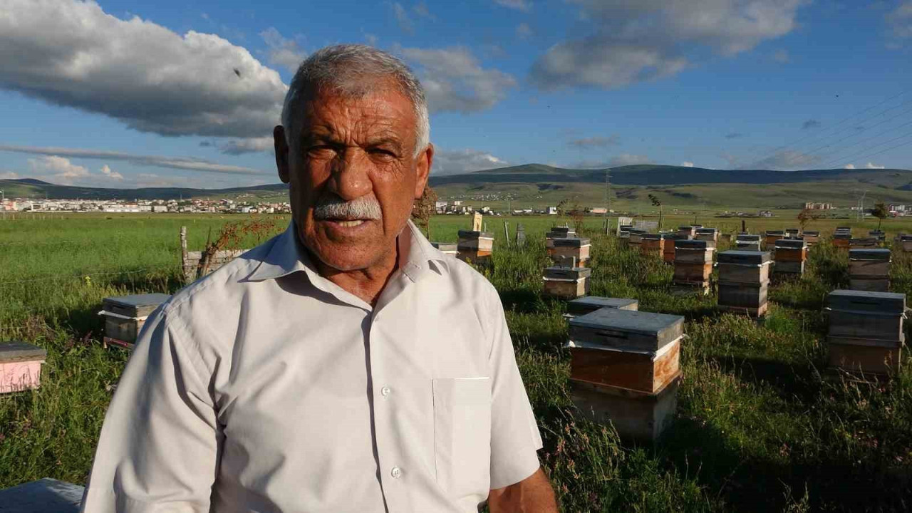 Ardahan'da üretildi! Tam 450 ton