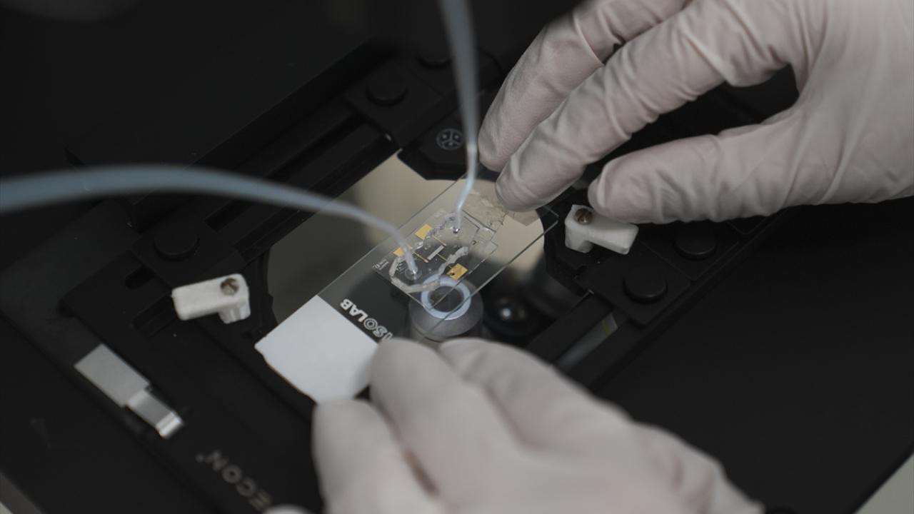 Çip teknolojisinde milli üretim hamlesi!