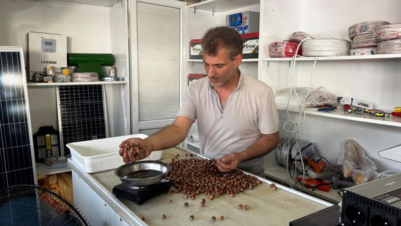 Fındık fiyatları yükseldi!