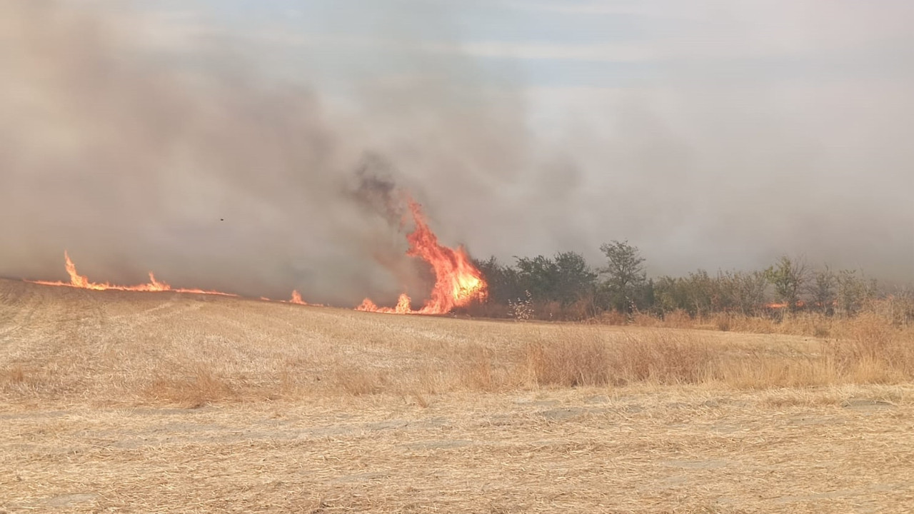 Edirne'nin Keşan ilçesindeki yangın söndürüldü