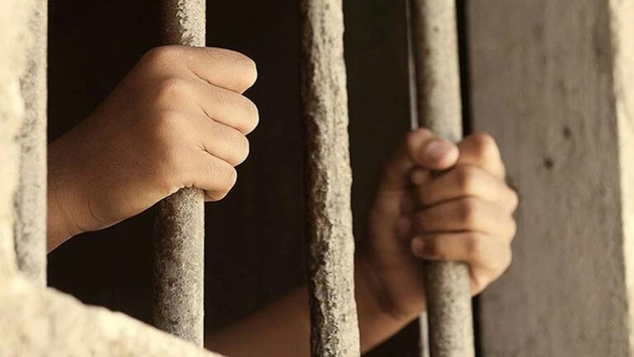 İstanbul Barosu Çocuk Hakları Merkezi Başkanı Ateşci: Cezaları ağırlaştırmak çözüm değil