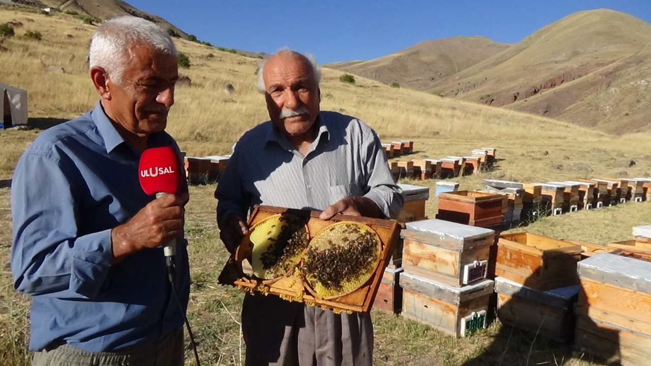 Hekimhanlı arıcılar sahte baldan dertli