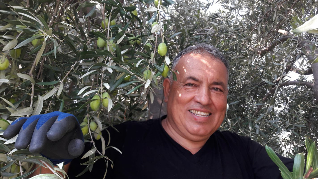 Zeytinyağı fiyatları yine yükselişe geçti